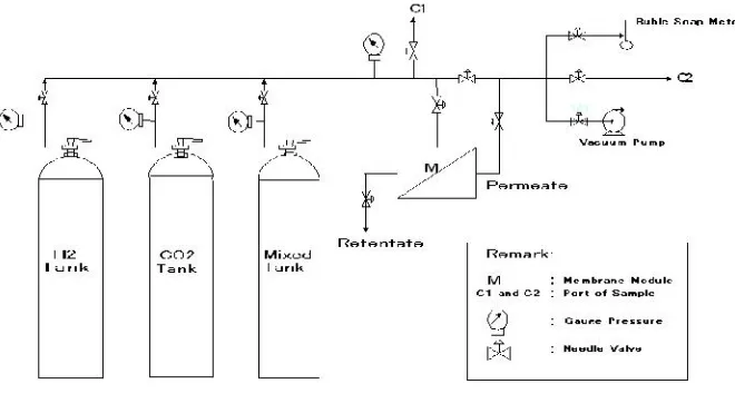 Fig. 5. Gas permeation system apparatus