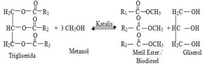 Gambar 2.. Reaksi Transesterifikasi dari Trigliserida Menjadi Metil Ester