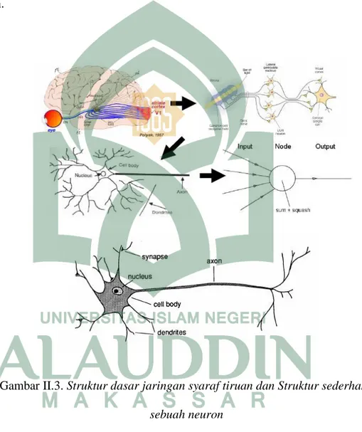 Gambar II.3. Struktur dasar jaringan syaraf tiruan dan Struktur sederhana  sebuah neuron 