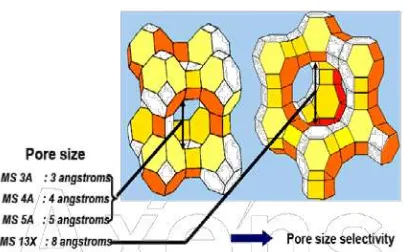 Gambar 2.4 Bentuk molekul molecular sieve (Savary, 2004) 