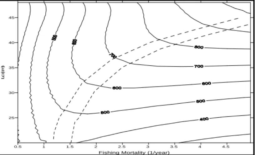 Gambar 3. Diagram isopleth Lutjanus malabaricus dengan variabel nilai Lc fishnet dan Lc rawai dasar tetap