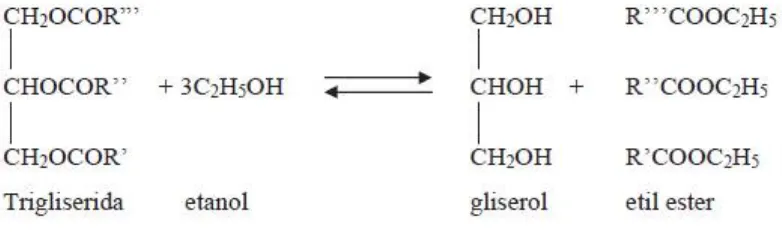 Gambar 2 Reaksi pembentukan metil ester 