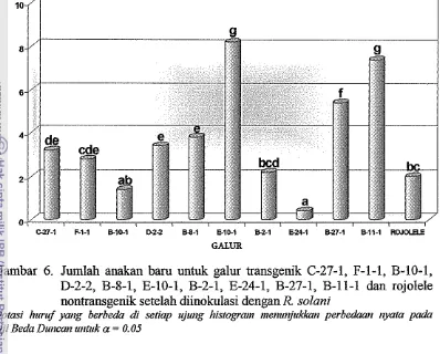 Gambar 6. Jumlah anakan barn untuk galur transgenik C-27-1, F-1-1, B-10-1, 