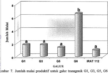 Gambar 8. Jumlah malai produktif untuk galur transgenik C-27-1, F-1-1, B-10-1, 