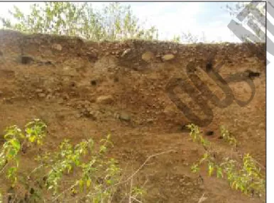 Gambar 4.  Hasil penafsiran geolistrik di lokasi Silae 01 Desa Silae, Kecamatan Palu Barat, Kota Palu.