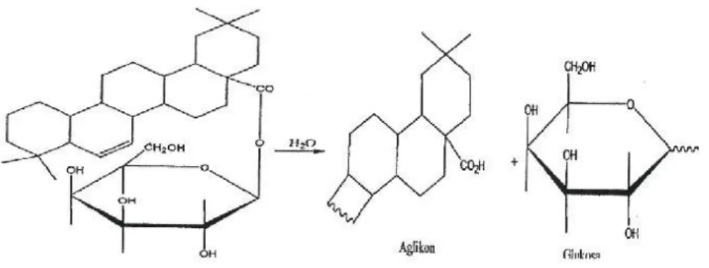 Gambar 4.4. Reaksi hidrolisi Saponin dalam air (Setyowati, 2014) 