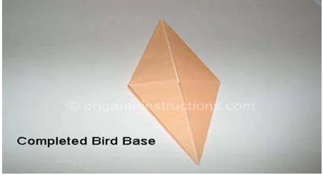 Gambar II.10 Bentuk dasar origami kodok 