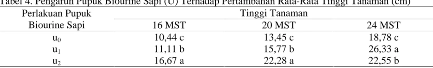 Tabel 4. Pengaruh Pupuk Biourine Sapi (U) Terhadap Pertambahan Rata-Rata Tinggi Tanaman (cm) Perlakuan Pupuk Biourine Sapi Tinggi Tanaman16 MST20 MST 24 MST u0 10,44 c 13,45 c 18,78 c u1 11,11 b 15,77 b 26,33 a u2 16,67 a 22,28 a 22,55 b