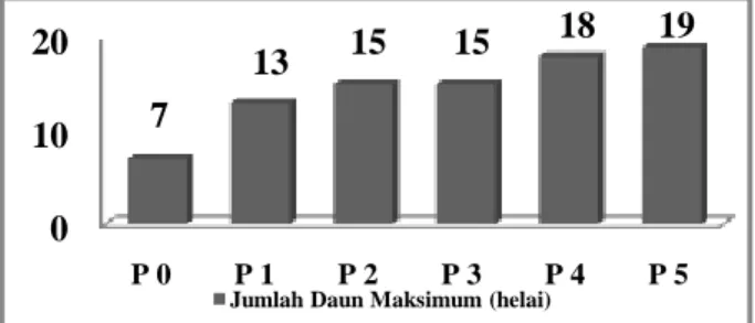 Tabel  1.  Pengaruh  Pupuk  Za  terhadap  Parameter Pertanaman  Perlakuan  Parameter Tinggi  Maksimum  (cm)  Jumlah Daun Maksimum (helai)  P0  12,0    7  P1  21,5    13  P2  18,7    15   P3  18,8    15   P4  18,5    18   P5  22,4    19  