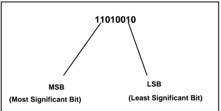 Gambar 2.2 Contoh susunan bit pada LSB dan MSB