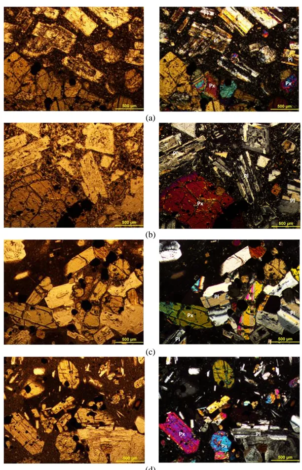 Gambar  4.  Mikrofoto  beberapa  sampel  dari  Formasi  Kayasa  dengan  lensa  nikol  sejajar  (kiri)  dan  bersilang 