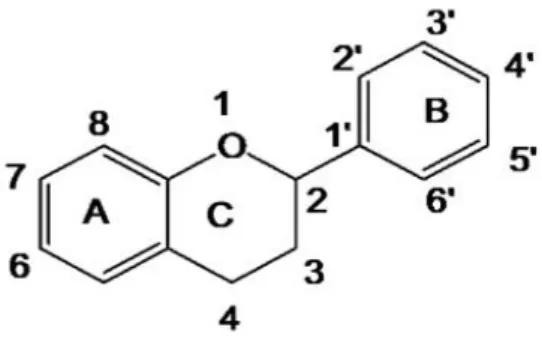 Gambar 2. Struktur dasar flavonoid (Sunyoto, dkk., 2013) 