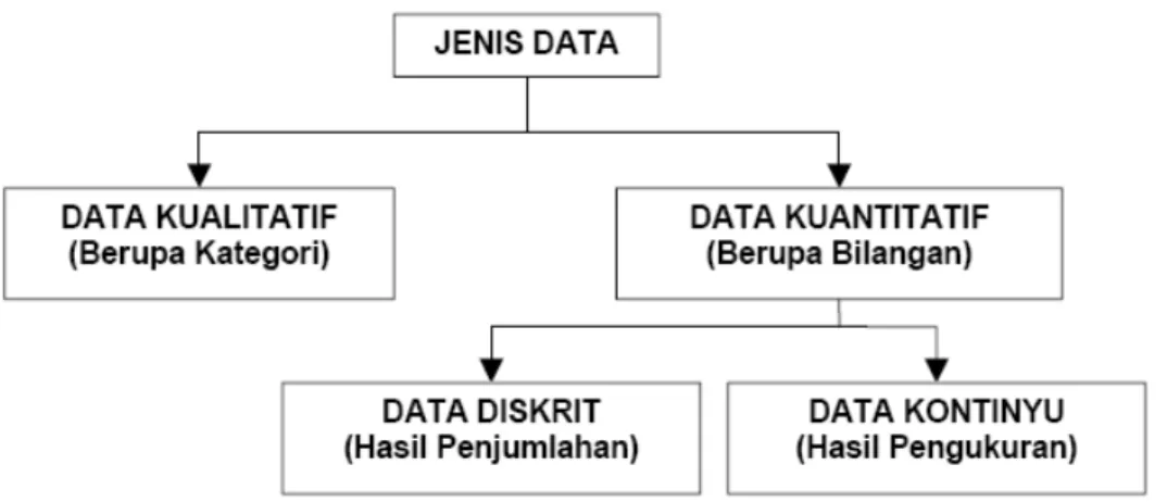Gambar 2.4 Jenis Data 