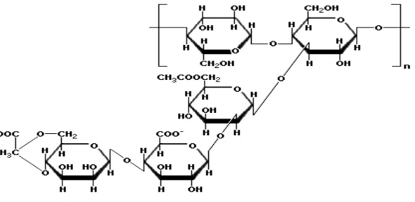 Gambar 1. Struktur kimia xanthan gum (Scientificpsychic, 2013) 