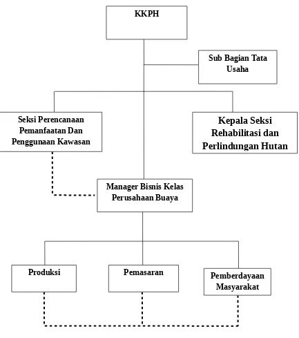 Gambar 1. Struktur organisasi kelas perusahaan kepiting soka KPH-TBS