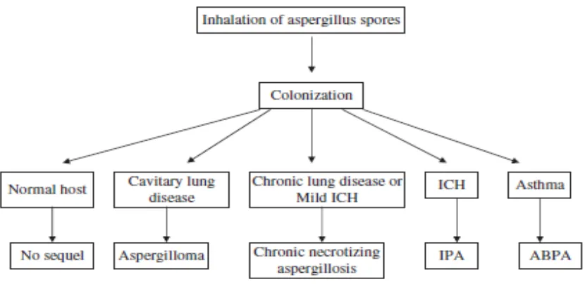 Gambar 2.3 Spektrum klinis yang dihasilkan akibat terhirupnya spora 