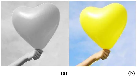 Gambar 2.2 (a) Citra grayscale; (b) Citra warna 