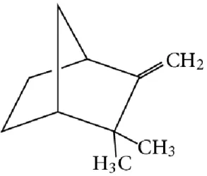 Gambar 3. Struktur Camphene 