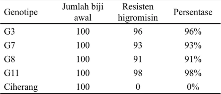 Tabel 1. Seleksi ketahanan benih padi BC3F4 dan padi cv.  Ciherang terhadap higromisin 