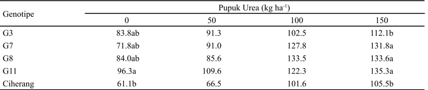 Tabel 4. Pengaruh  genotipe terhadap jumlah biji tiap malai pada setiap taraf pemupukan urea