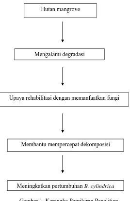 Gambar 1. Kerangka Pemikiran Penelitian 