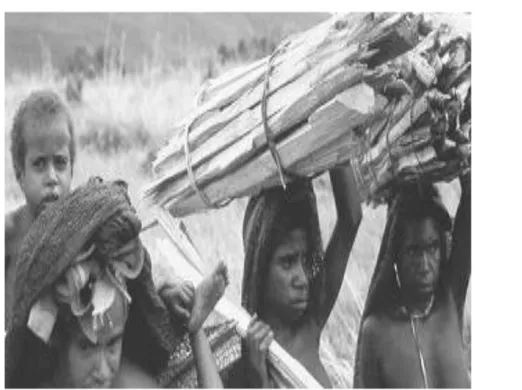 Gambar 1.1 Masyarakat papua yang sedang mencari kayu untuk  persiapan  pesta  bakar batu