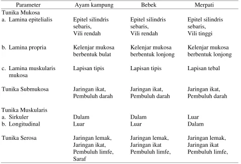 Tabel 1. Gambaran Struktur Histologi Proventrikulus 