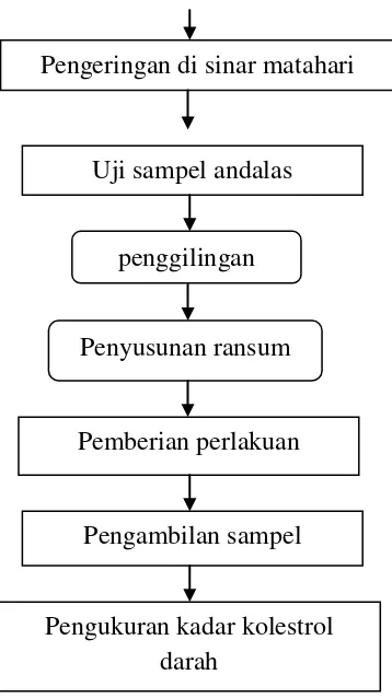 Tabel 4. Rataan konsumsi protein selama penelitian ternak ayam broiler. 