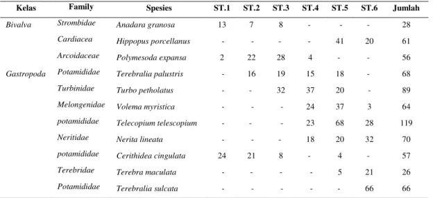 Tabel  2. Spesies dan jumlah individu makrozoobenthos di Perairan Pantai Pandan  Provinsi Sumatera Utara