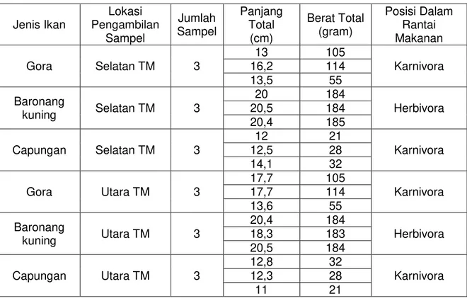 Tabel 1. Jenis Ikan Sampel yang diidentifikasi di Perairan Teluk Manado (TM). 