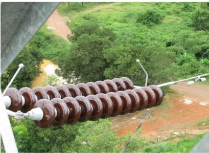 Gambar 7 : Ceramic Insulator 