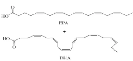 Gambar 1.  Struktur kimia DHA dan EPA 
