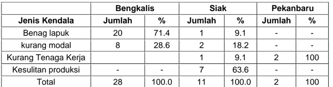 Tabel 13  Kendala Usaha 