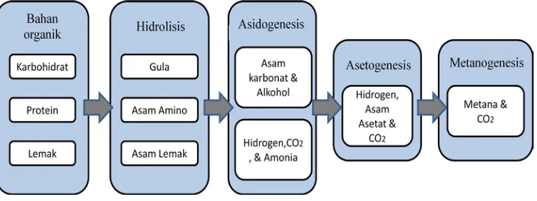 Gambar 2.6.  Proses pembentukan biogas  (Al Seadi,T. 2008) 