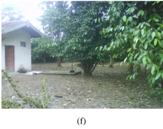 Gambar 1. Pemanfaatan lahan pekarangan: (a) Perumahan komplek dengan lahan sempit (b) Perumahan komplek dengan lahan luas (c) Perumahan kampung dengan lahan sempit (d) Perumahan kampung dengan lahan luas (e) Pemanfaatan lahan untuk ternak (f) Pemanfaatan l