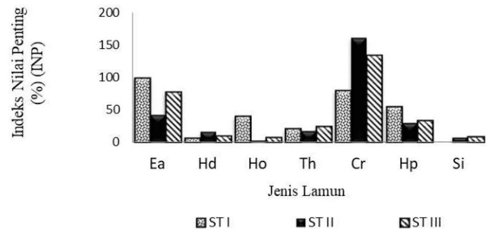 Gambar 2. Histogram Indeks Nilai Penting (INP) Lamun pada setiap stasiun 