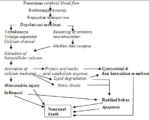 Gambar 5. Kaskase Iskemik (Kasner et al. 1999 cit. Suroto, 2012)