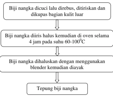 Gambar 3.1. Prosedur Pembuatan Tepung Biji Nangka (Diah, 2011) 3.4.2. Variabel yang Diukur