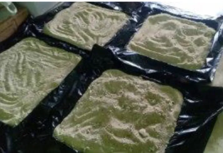 Gambar 1. Suplemen yang mengandung rumen protected lipid. 