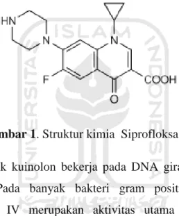 Gambar 1. Struktur kimia  Siprofloksasin 