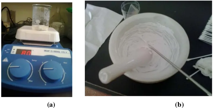 Gambar bahan dan peralatan yang digunakan dalam pembuatan pasta TiO2   