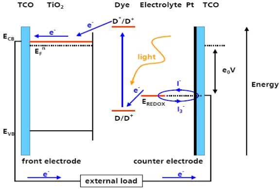 Gambar 2.8. Ilustrasi proses fotokatalis 