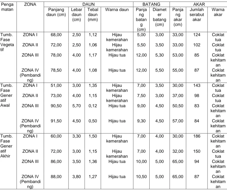 Tabel 1.  Data  Rerata  Perbandingan  Morfologi  Daun  Tumbuhan  Nanas  Secara Kuantitatif dan Kualitatif di Lokasi Penelitian  