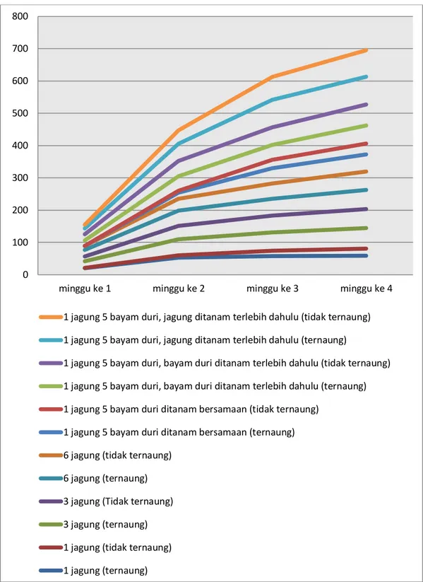 Grafik 1. Tinggi Tanaman Jagung dengan Perbedaan Perlakuan. 