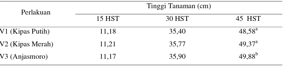 Tabel 1. Rata-Rata Tinggi Tanaman pada 15 HST, 30 HST dan 45 HSTAkibat  Pengaruh 