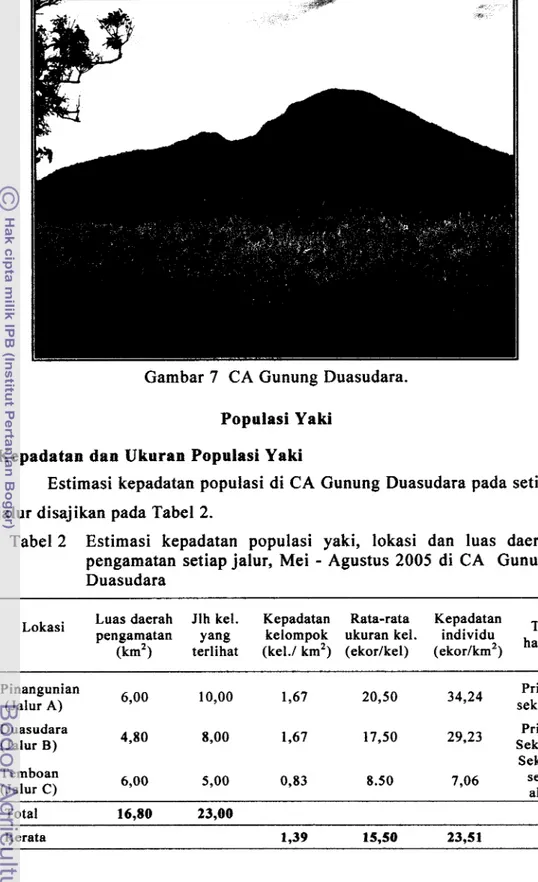 Tabel  2  Estimasi  kepadatan  populasi  yaki,  lokasi  dan  luas  daerah  pengamatan  setiap jalur,  Mei  -  Agustus  2005  di  CA  Gunung  Duasudara 