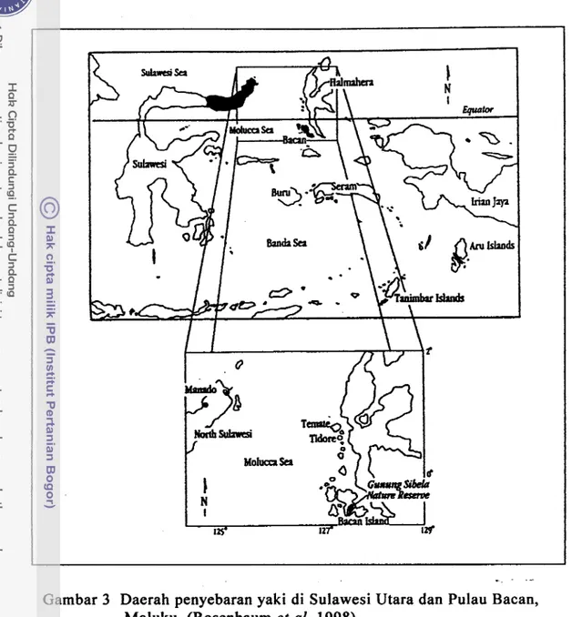 Gambar 3  Daerah penyebaran yaki  di  Sulawesi Utara dan Pulau Bacan,  Maluku  (Rosenbaum  et  al