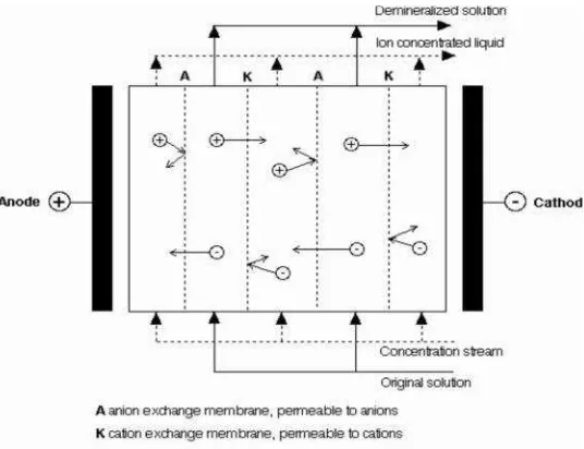 Gambar 2.4. Mekanisme pada elektrodialisis (Mulder, 1991)