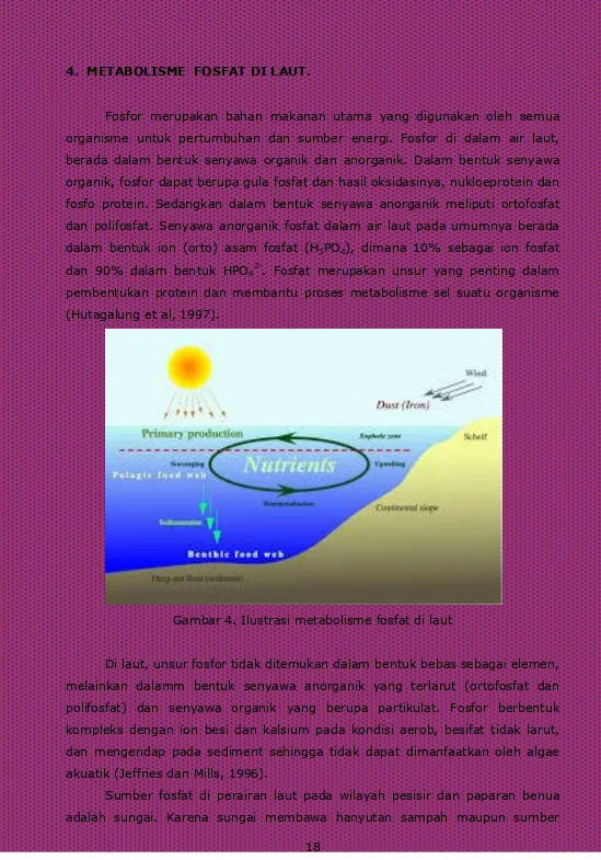 Gambar 4. Ilustrasi metabolisme fosfat di laut 