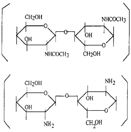 Gambar 2.3. Struktur Kimiawi Kitin dan Kitosan  (Fernandez-Kim, 2004) 